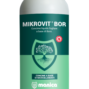 BORO LIQUIDO 1lt