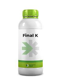 FINAL K 1LT