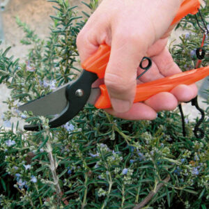 forbi per fiori 17 art 358