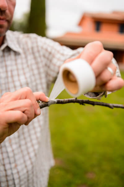 BUDDY TAPE STOCKER NASTRO PER INNESTO ART. 2081