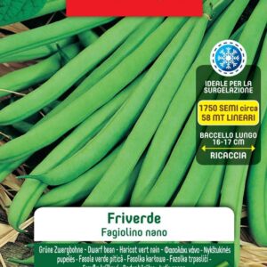 FAGIOLO NANO FRIVERDE- GR 100