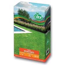 PRATO RESISTENTE OLTER 1KG
