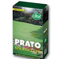 PRATO VERDE SOLEGGIATO 1KG