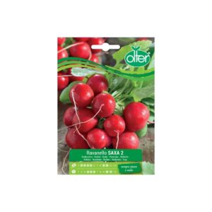 RAVANELLO SAXA 2 - BUSTINA