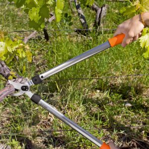 TRONCARAMI LÖWE BIPASS CM 50 ART 31050