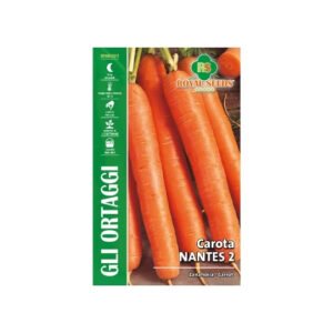 CAROTA NANATESE 2 - BUSTINA