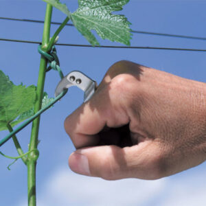 coltello ad anello art 2056