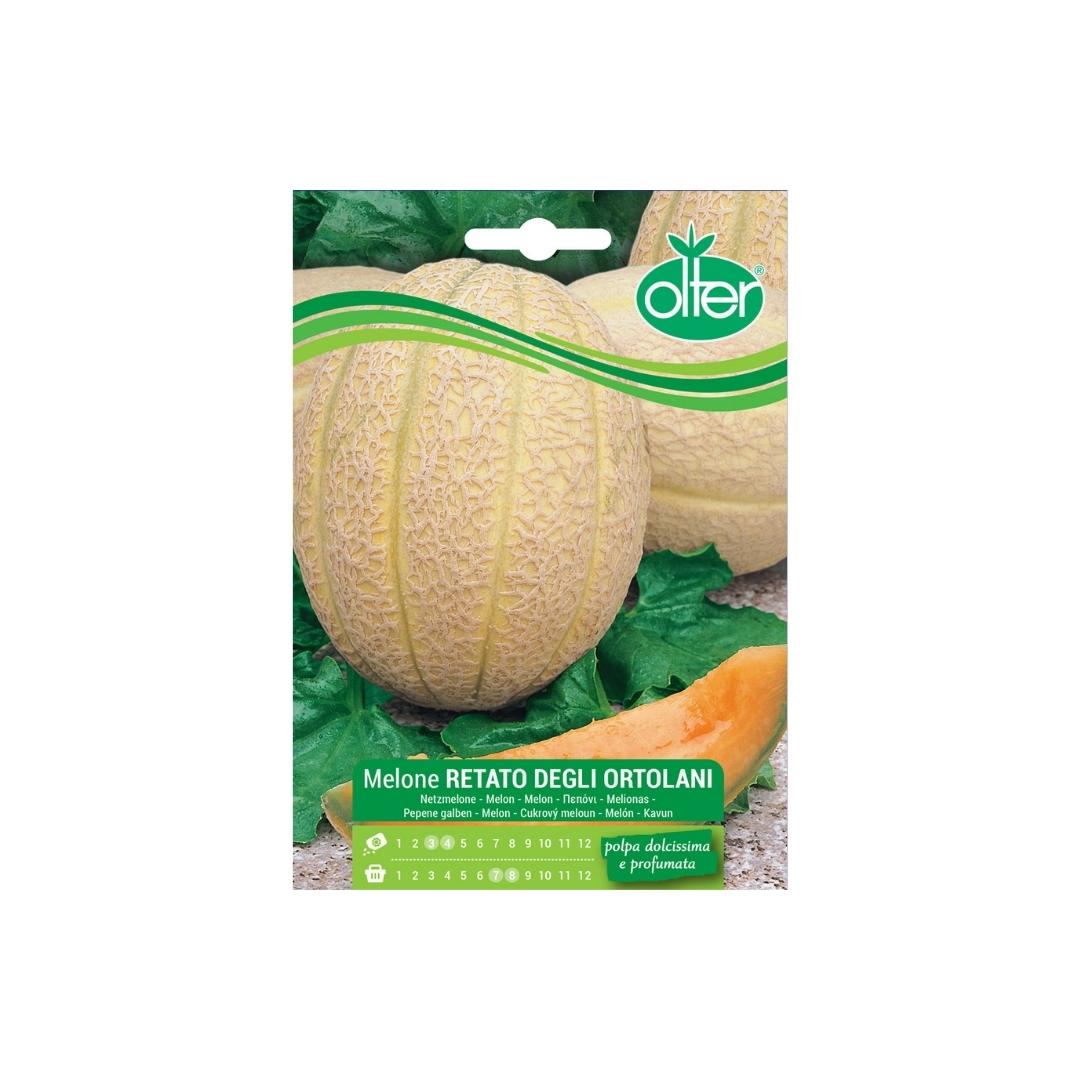 MELONE RETATO DEGLI ORTOLANI - BUSTINA