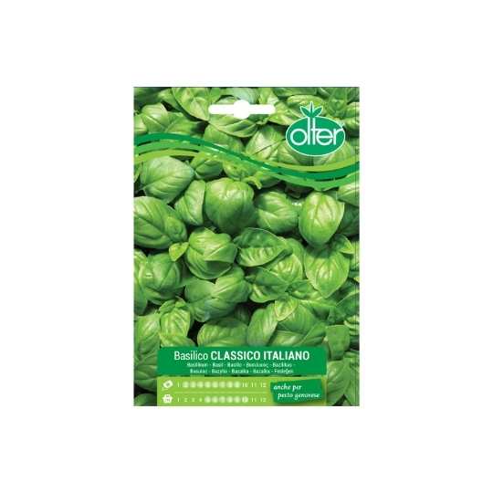 BASILICO CLASSICO ITALIANO - BUSTINA