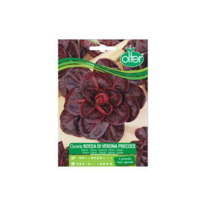 CICORIA ROSSA DI VERONA PRECOCE - BUSTINA