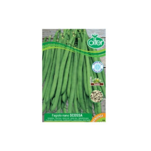FAGIOLO NANO SCOSSA - GR 100