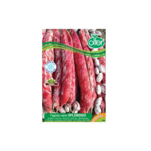 FAGIOLO NANO SPLENDIDO - GR 100