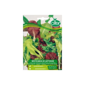 MISTICANZA DI LATTUGHE - MAXI RISPARMIO