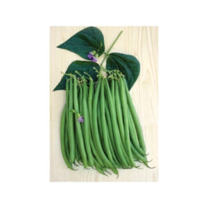 FAGIOLO NANO ELMORO - 250 SEMI