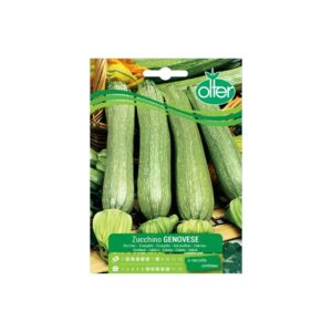 ZUCCHINO GENOVESE - BUSTINA