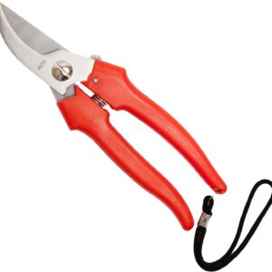 FORBICI INOX 19 cm LAMA CURVA
